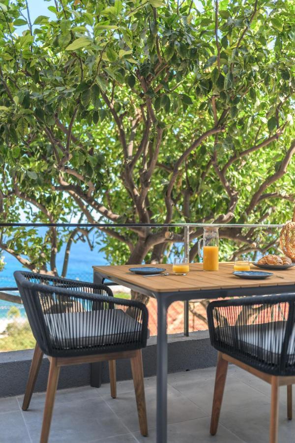 Proche Monaco, Vue Mer, Acces Plage Et Jardin Privatif Saint-Antoine  Ngoại thất bức ảnh